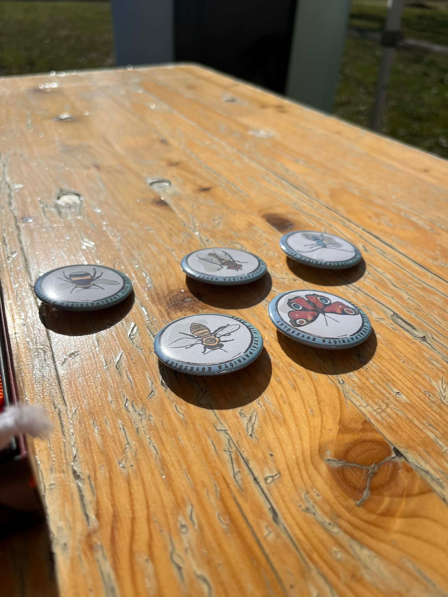 Beporzók napja - 2026